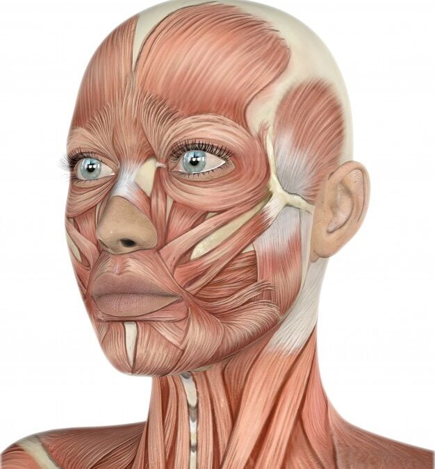 ¿Cómo Eliminar la Flacidez Facial
